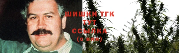 прущие грибы Алексин