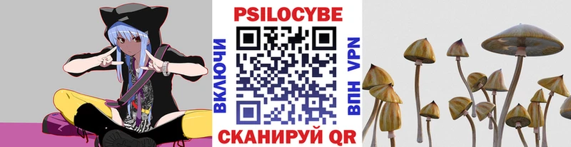 Галлюциногенные грибы ЛСД  ссылка на мегу зеркало  Волхов 