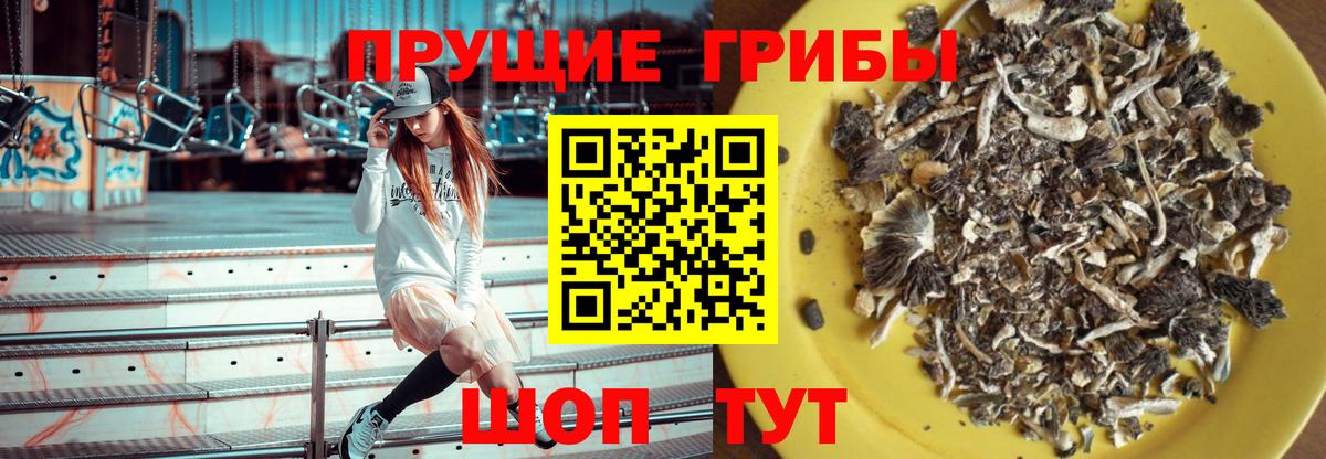МЕТАДОН Волхов