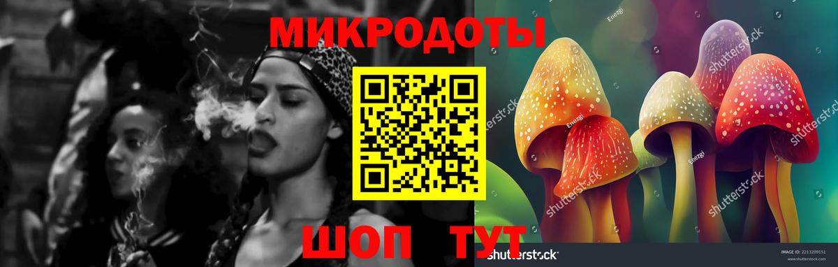 Галлюциногенные грибы мицелий  Вход с VPN  Волхов 